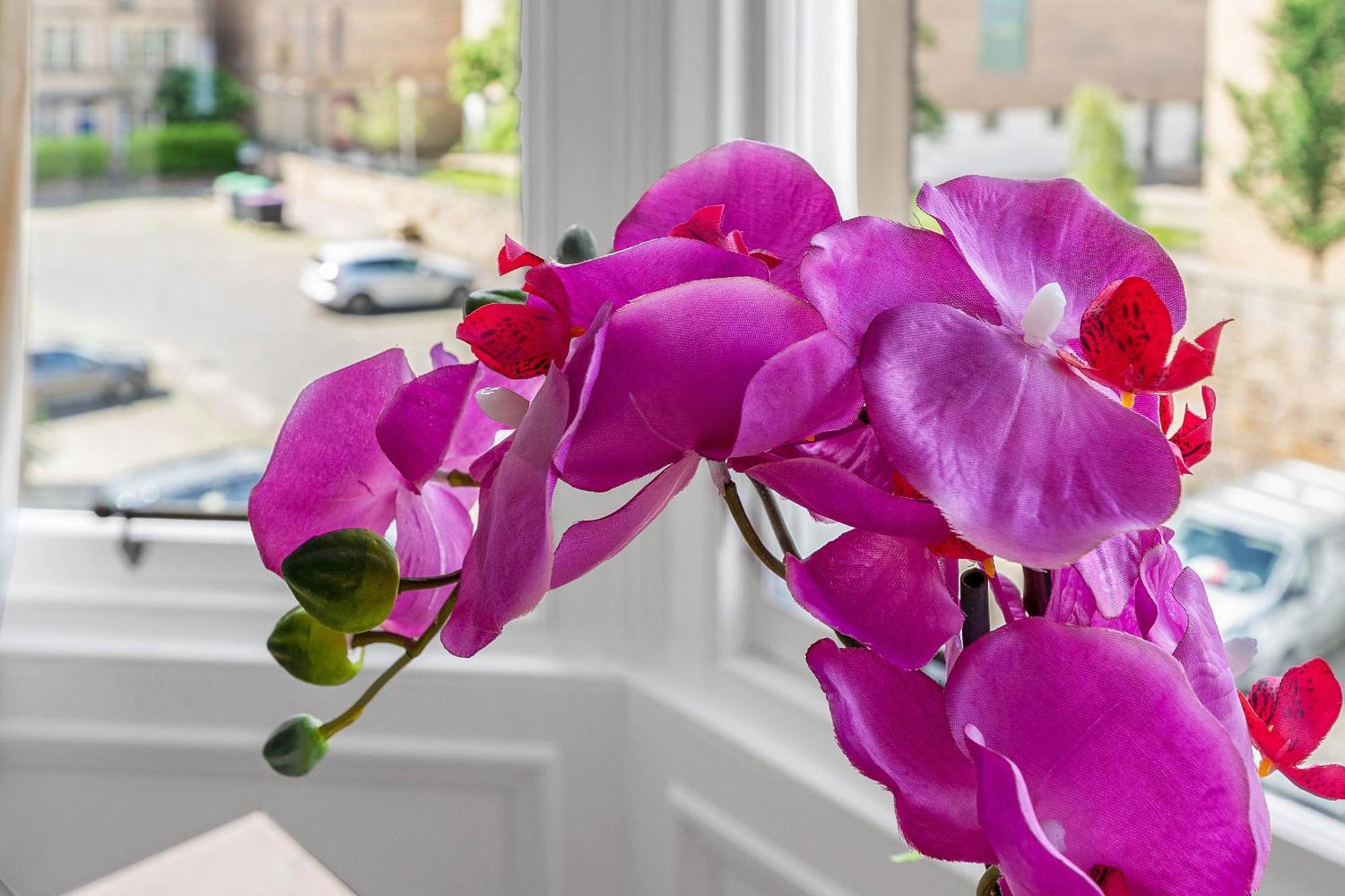 Marchmont Traditional Apartments Эдинбург Экстерьер фото